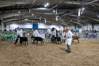Scottish Smallholding & Countryside Festival
