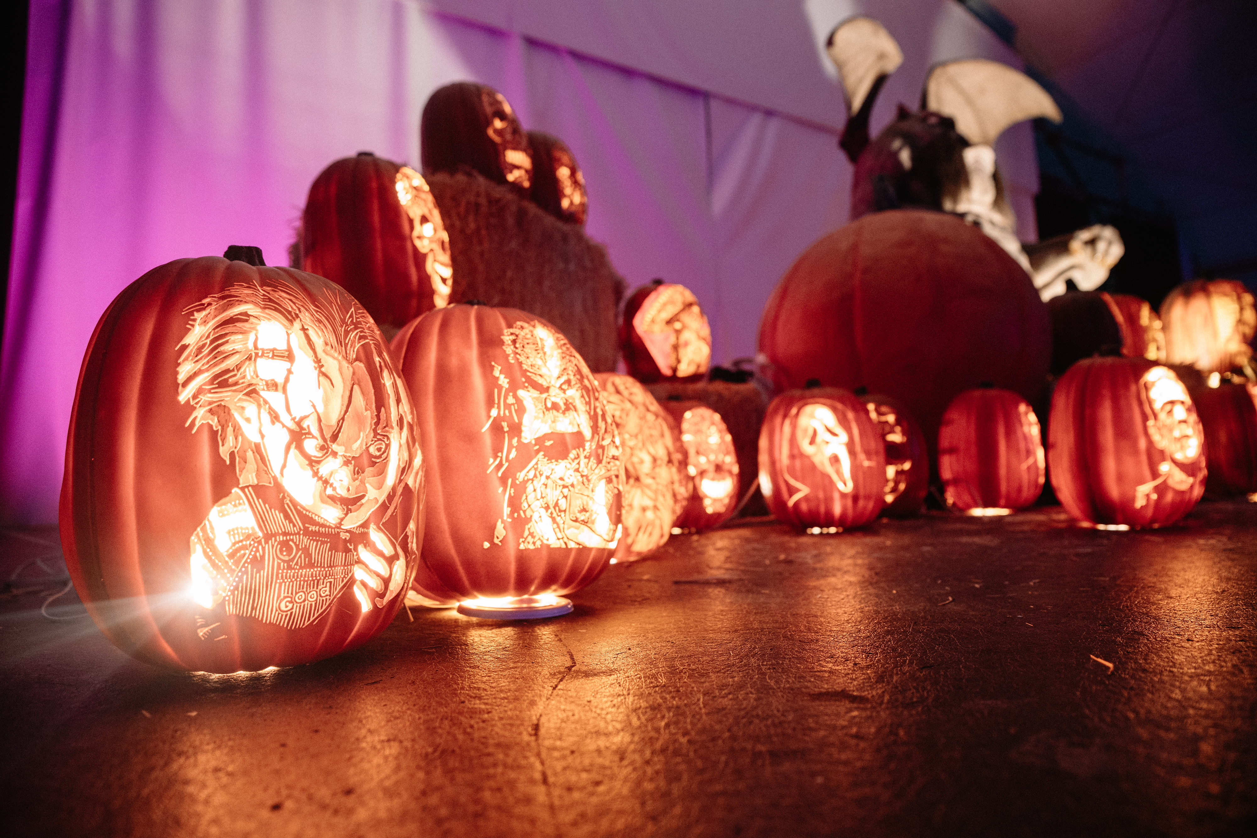 Pumpkins After Dark Edinburgh